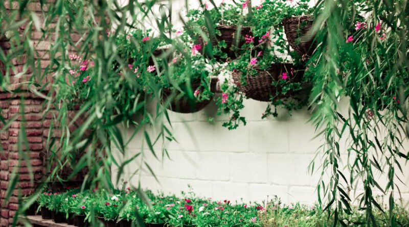 Secrets pour un jardin décoré avec goût