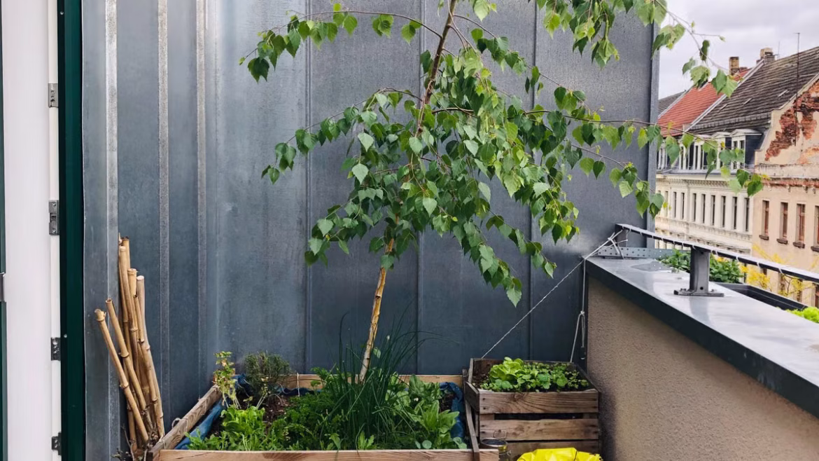 Aménager une petite terrasse : gains d'espace et style