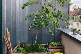 Aménager une petite terrasse : gains d'espace et style