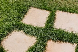 Choix des matériaux pour terrasse : guide complet 2026