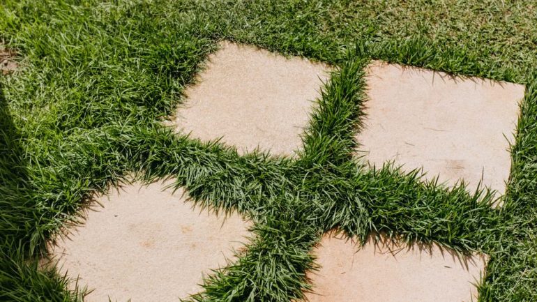 Choix des matériaux pour terrasse : guide complet 2026