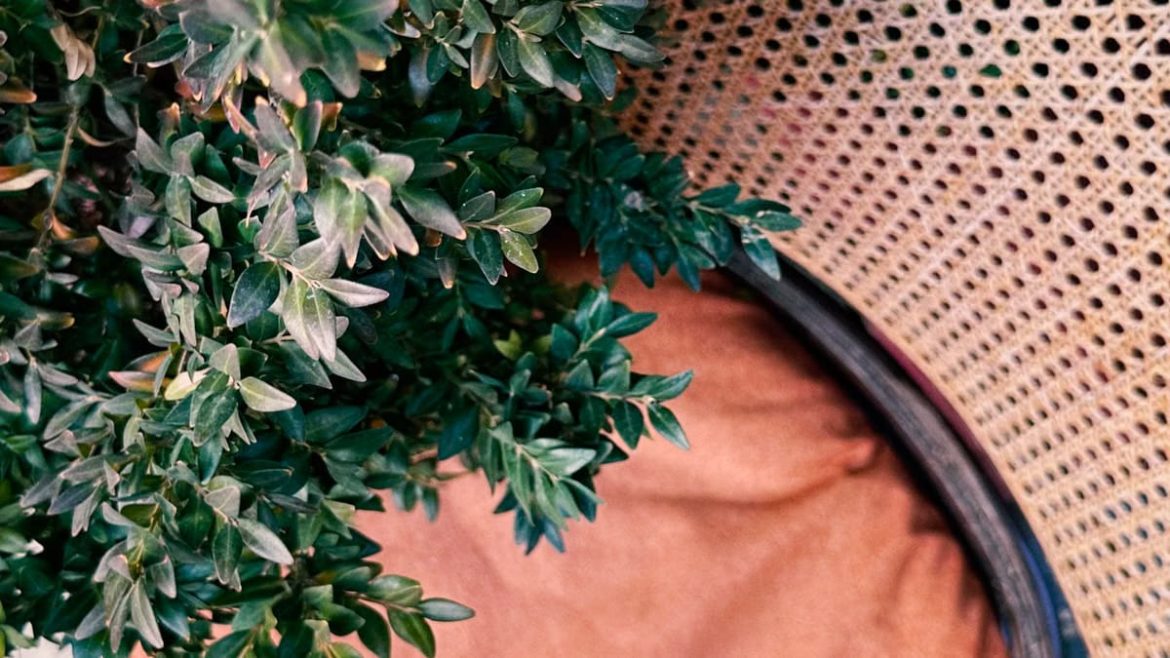 Aménagement paysager terrasse : 7 solutions testées